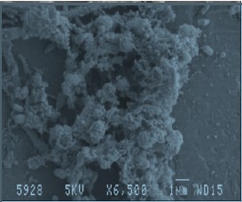 Oxidation Comparison